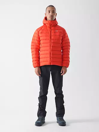ARCTERYX | Herren Isojacke Cerium Hoodie | 